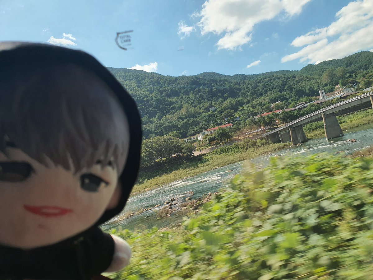 오드는 드라이브中...🥰

#오드플랙 #추석기념 #밍이네_여행중