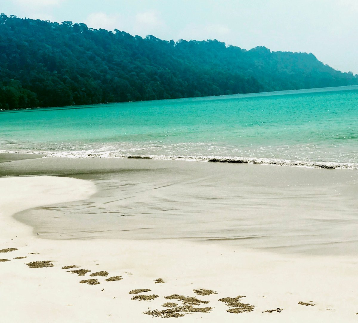tourismgoi's tweet photo. Radhanagar Beach, an unspoilt sandy beach in the Andaman Islands is fringed with a green canopy of rain fed forests. The Beach is located at Swaraj Dweep Island (formerly known as Havelock Island) and can be reached from the capital city of Port Blair. https://t.co/7Opyqyfugq