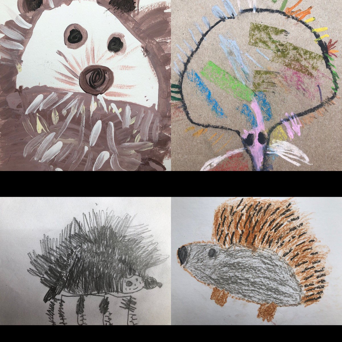 BarnesHedgehogs's tweet photo. Save the planet , Save the plants , Save the people , Save the Hedgehogs @BarnesHedgehogs @picassosinthepark @ZacGoldsmith #hedgehogs #planet #people #barmes-village https://t.co/Gn4x9Cgfc9