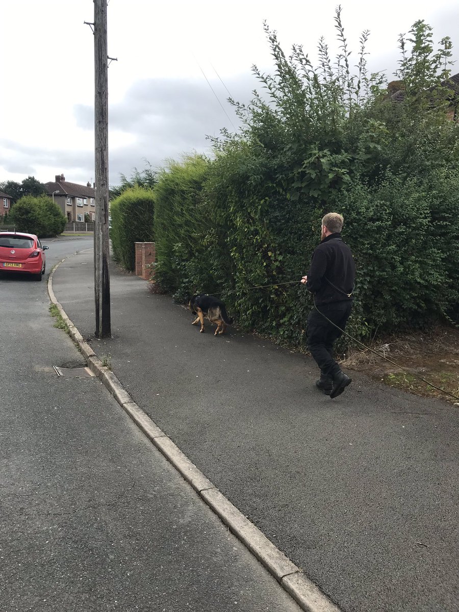 WMPDogs's tweet photo. Practical tracking during the training week #liveenvironments #cantbeatthenose https://t.co/WdEfOJJ7Xy