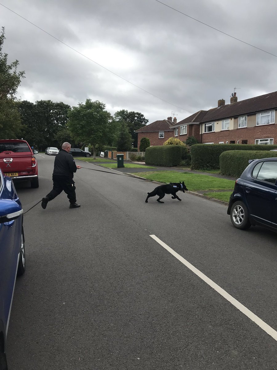 WMPDogs's tweet photo. Practical tracking during the training week #liveenvironments #cantbeatthenose https://t.co/WdEfOJJ7Xy
