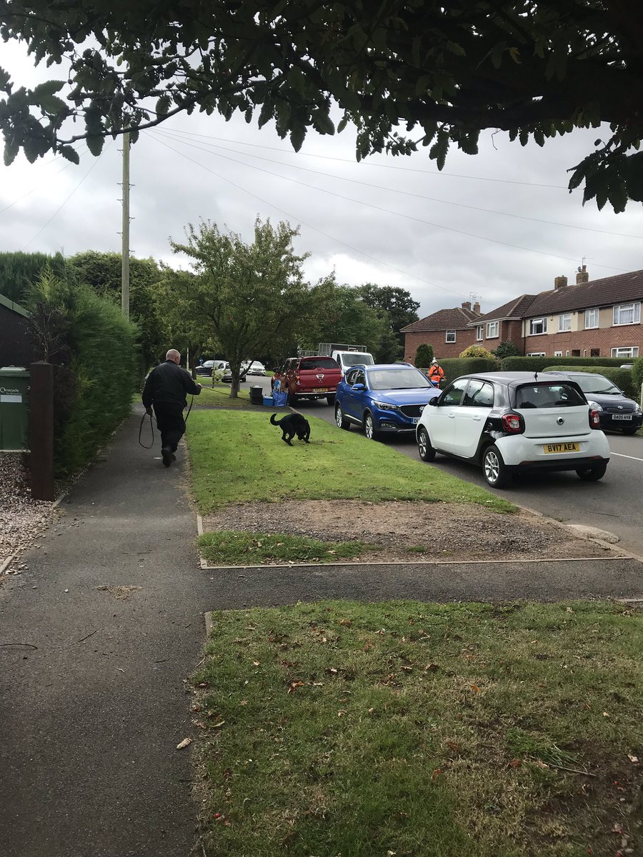 WMPDogs's tweet photo. Practical tracking during the training week #liveenvironments #cantbeatthenose https://t.co/WdEfOJJ7Xy