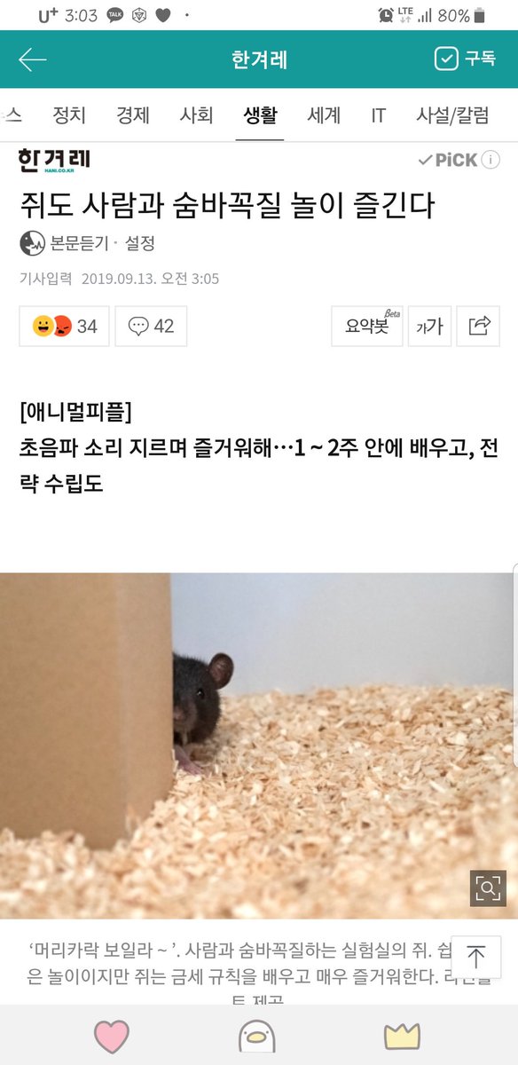 ㅋㅋㅋㅋㅋㅋㅋㅋ꺄아아아 거리면서 구석에 숨어서 빼꼼 할 것 생각하니까 너무 귀엽다☺️