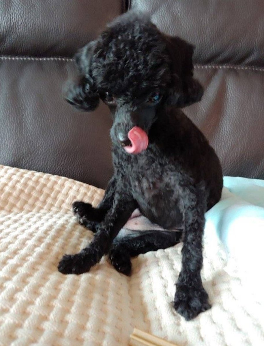 dokkomi_'s tweet image. 경수도 즐거운 추석보내 😭😭😭❤