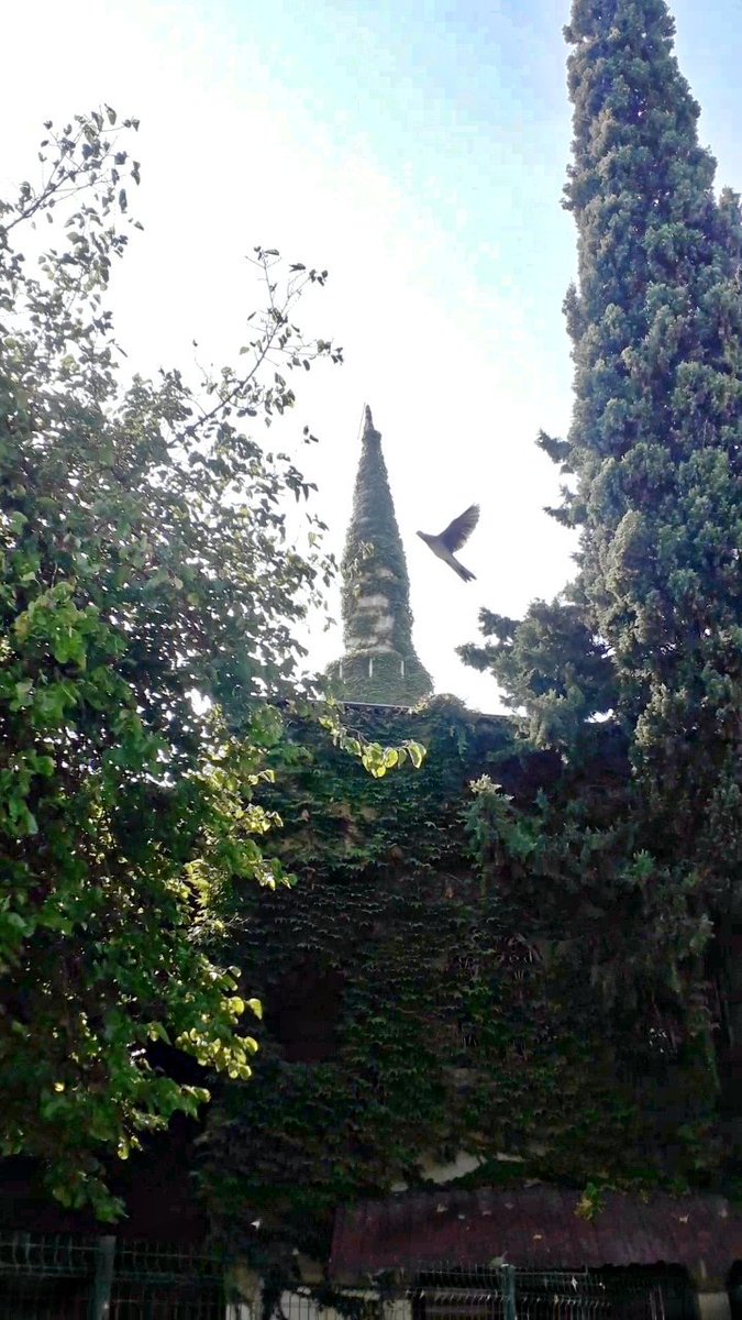 serap_torun's tweet photo. Köprüköy Cami...
Dün çekmiştim bunları.📸 Bazı fotoğrafları çekmenin de ayrı bir guzelligi var. 🤩
Herkese #HayırlıCumalar.🌹

#köprüköycami
#adana
#yesilcami https://t.co/s5NDafBI3i