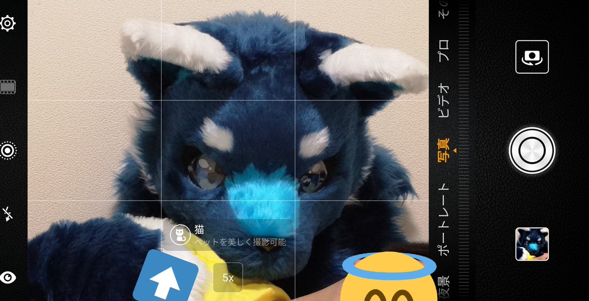 しろくま (@Shirokuma_4GLTE) / Posts / X