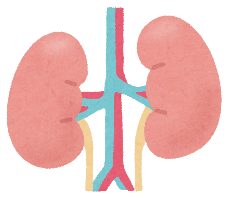酒粕gt S660versionz納車待ち こないだの 飲酒運転の無保険車にオカマほられたタントの件 差し押さえる資産もないと どうにもならないから自衛しろって T Co Vveeyubzbq