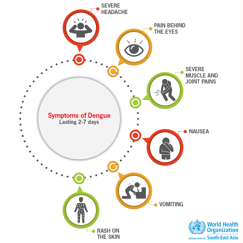 WHOSEARO's tweet photo. @unicef_nepal @UN_Nepal @MOHPnepal @UNICKathmandu @USEmbassyNepal @MoHFW_INDIA @UNinIndia @WHOSriLanka @WHOTimorLeste @WHO #Dengue should be suspected when a fever🌡️(40°C/ 104°F) is accompanied by 2 of the following symptoms:
-severe headache
-pain behind the eyes
-muscle &amp; joint pains
-nausea
-vomiting
-skin rash

Symptoms usually last for 2–7 days.

If you suspect having dengue, consult a doctor👩🏻‍⚕️ https://t.co/nOfGC8Quey