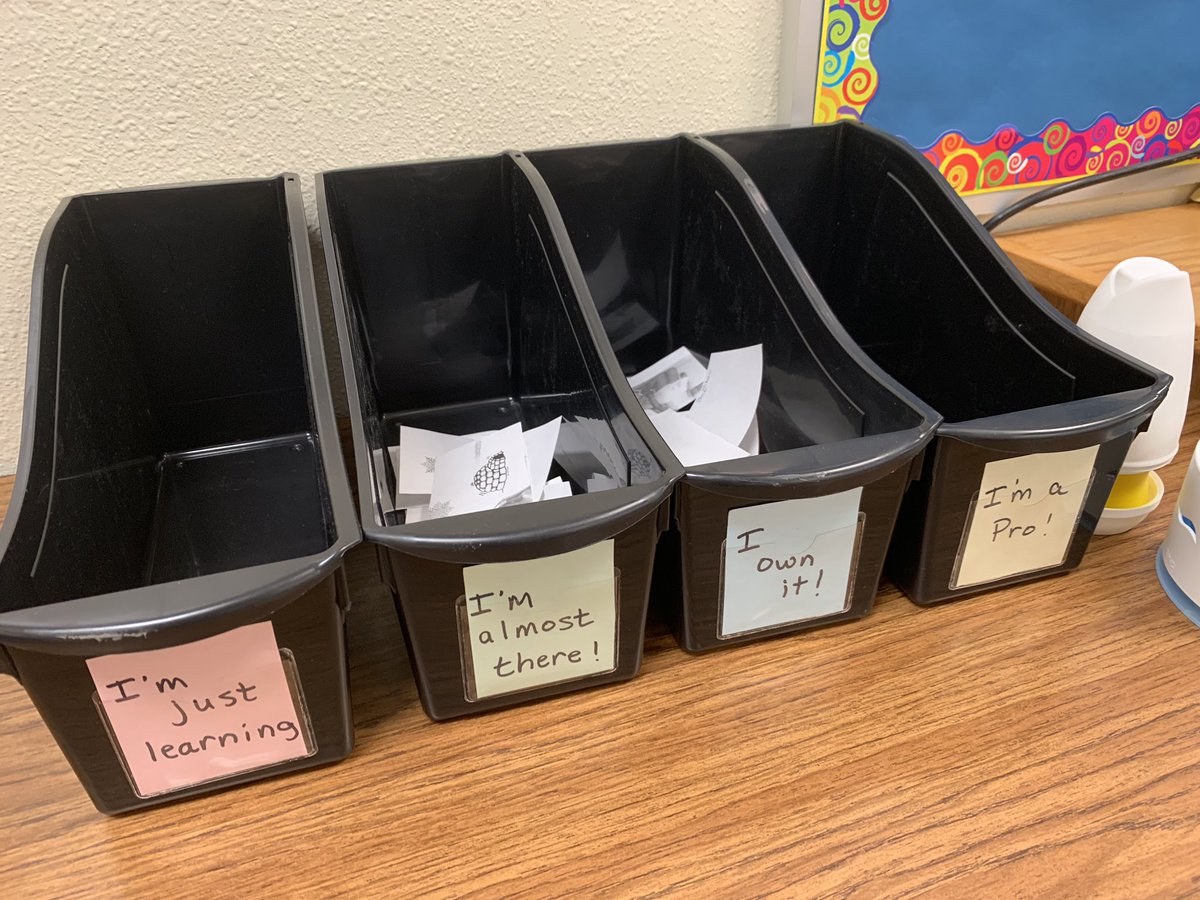 Katie Hoffman tweet media