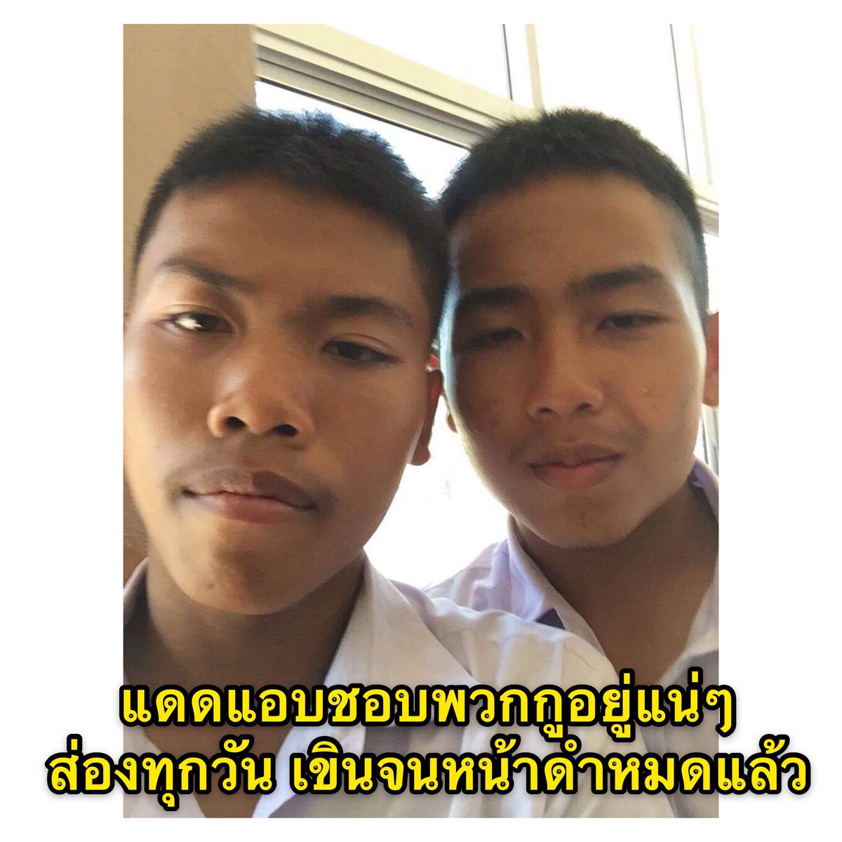 Gsim4Studio tweet media