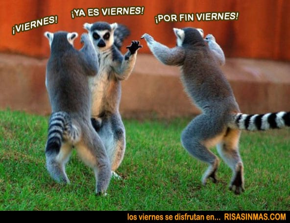 claubetynavarro's tweet photo. Ya llega #radiotrapo wachinnnn🎵🎶🎧📻 @nachobulian @emilianoraggi https://t.co/3du87MxS5W