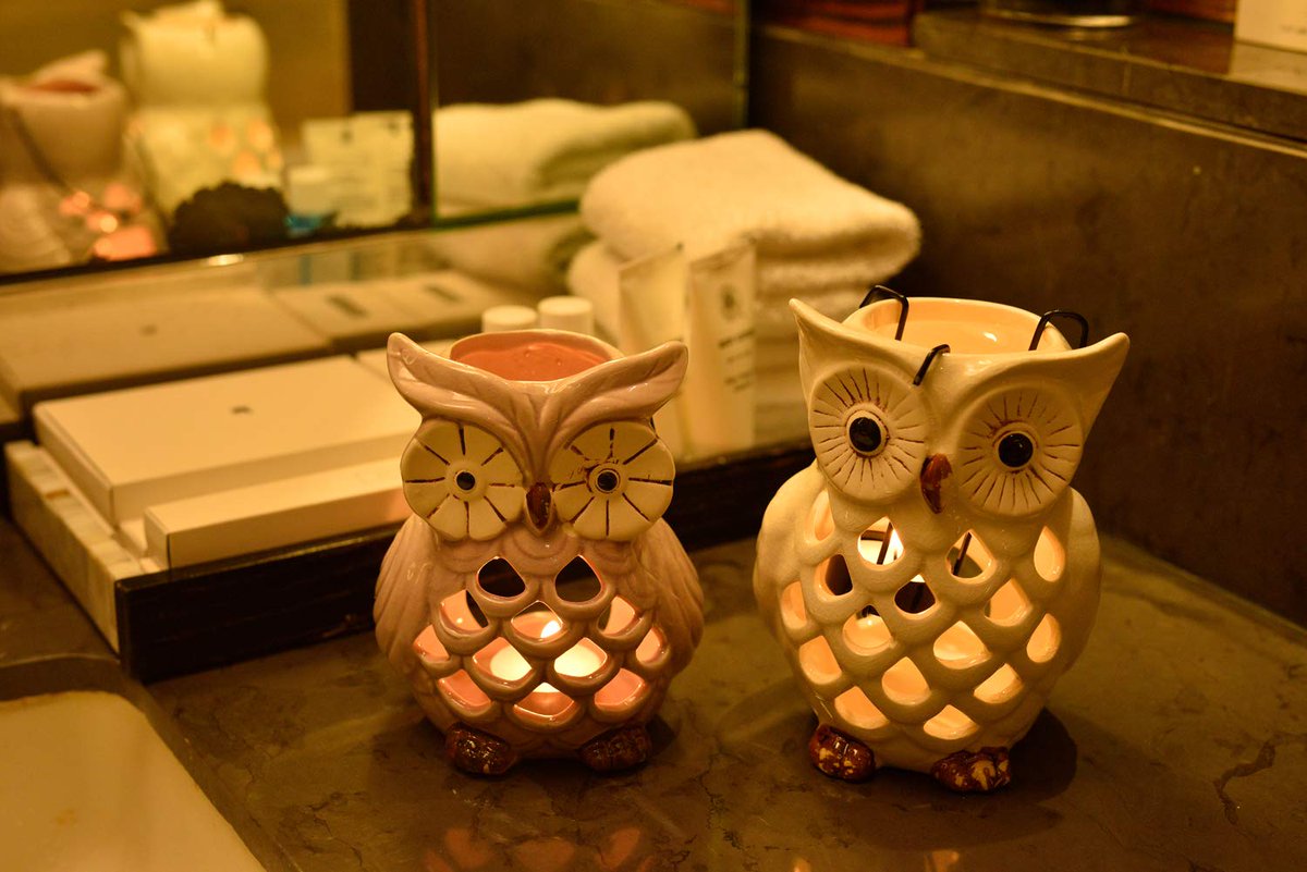 RiyajKurne's tweet photo. Just saw this on Amazon: Decozen Lucky Owl Tea Light Holders Set of ... by Decozen for $21.99 https://t.co/QYUgE4MSEX via @amazon
#interiordesign #homedesign #lightingcontrols #intelligentlighting #rakocontrols https://t.co/qOGVrL9ajo