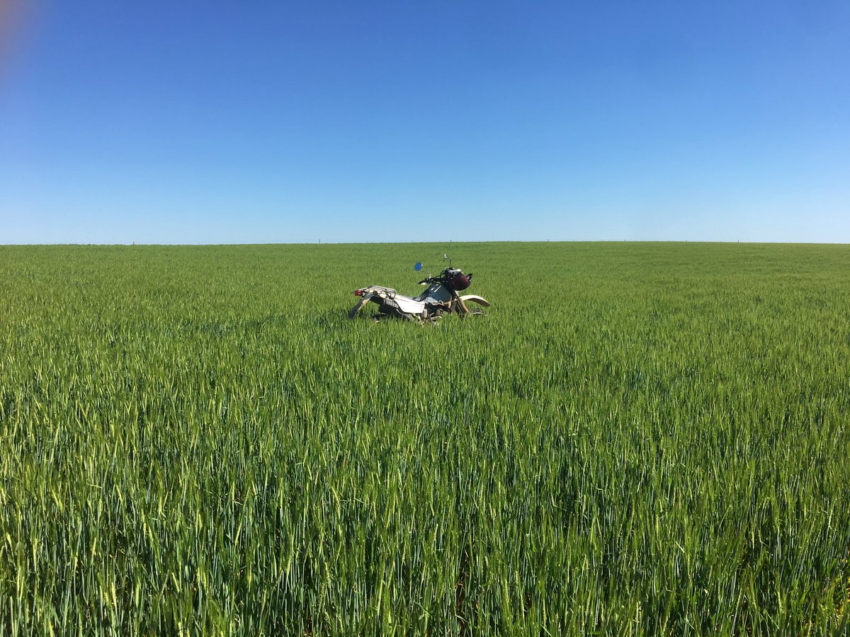 The business end of the deal so piss off jack ,