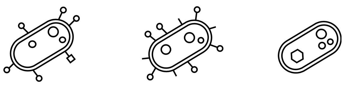 LabCutSciFilms's tweet image. We have a stand in the @BritishSciFest Family Day at @warwickuni, tomorrow. Visit us in the Oculus Building, attend our screening and help us make a stop-motion film on #GeneticEngineering! @warwickengages #BSF19