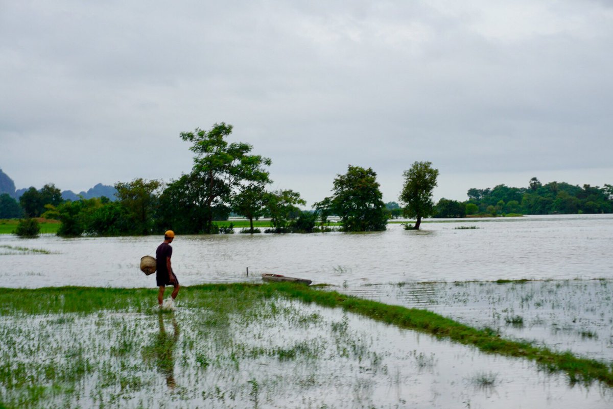 Hpa-An ha sido la sorpresa del viaje a Myanmar. 💚

Un rincón de postal embellecido por campos de arroz, imágenes bucólicas e infinitas cuevas kársticas que albergan templos en su interior.
