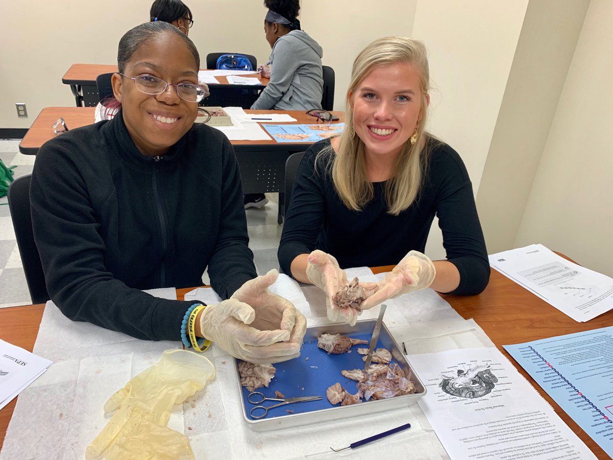 lauramarieswain's tweet photo. “Oooh what we were talking about in lecture now makes sense!” #braindissection #cognitiveneuroscience ⁦@USCAiken⁩ ⁦@USCAiken_STEM⁩ ⁦@USCAikenNeuro⁩ ⁦@USCAikenPsych⁩ https://t.co/SY67LAPuSM