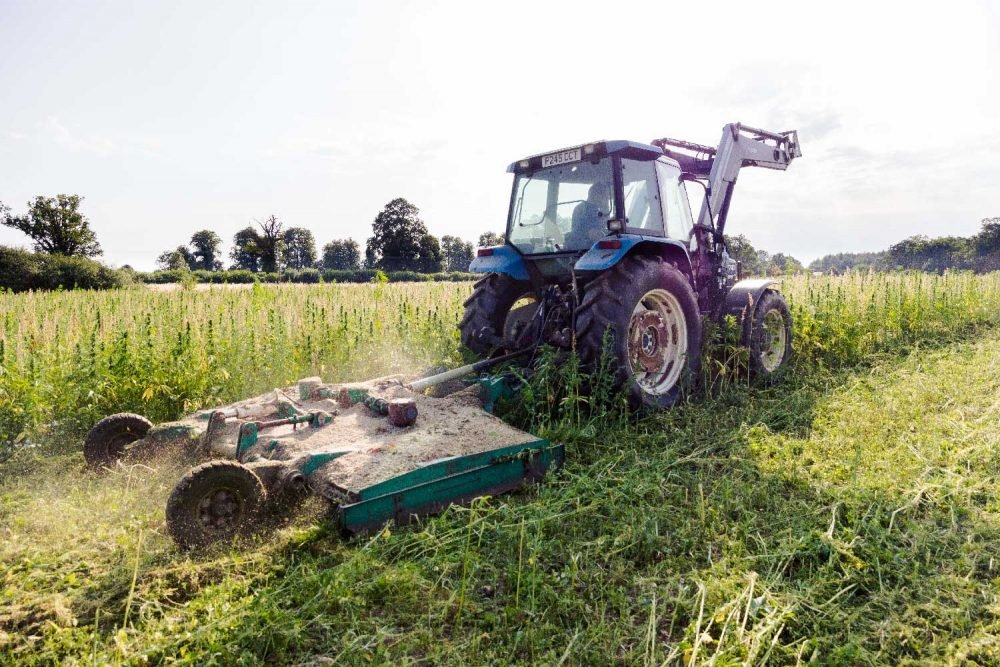 SaveUKCBD's tweet photo. UK hemp farm could lose £200,000 in crop destruction —https://t.co/xOtLWmSzaq #hemp #hempnews #saveukcbd #cbd #cbdnews https://t.co/3adR24jo5o