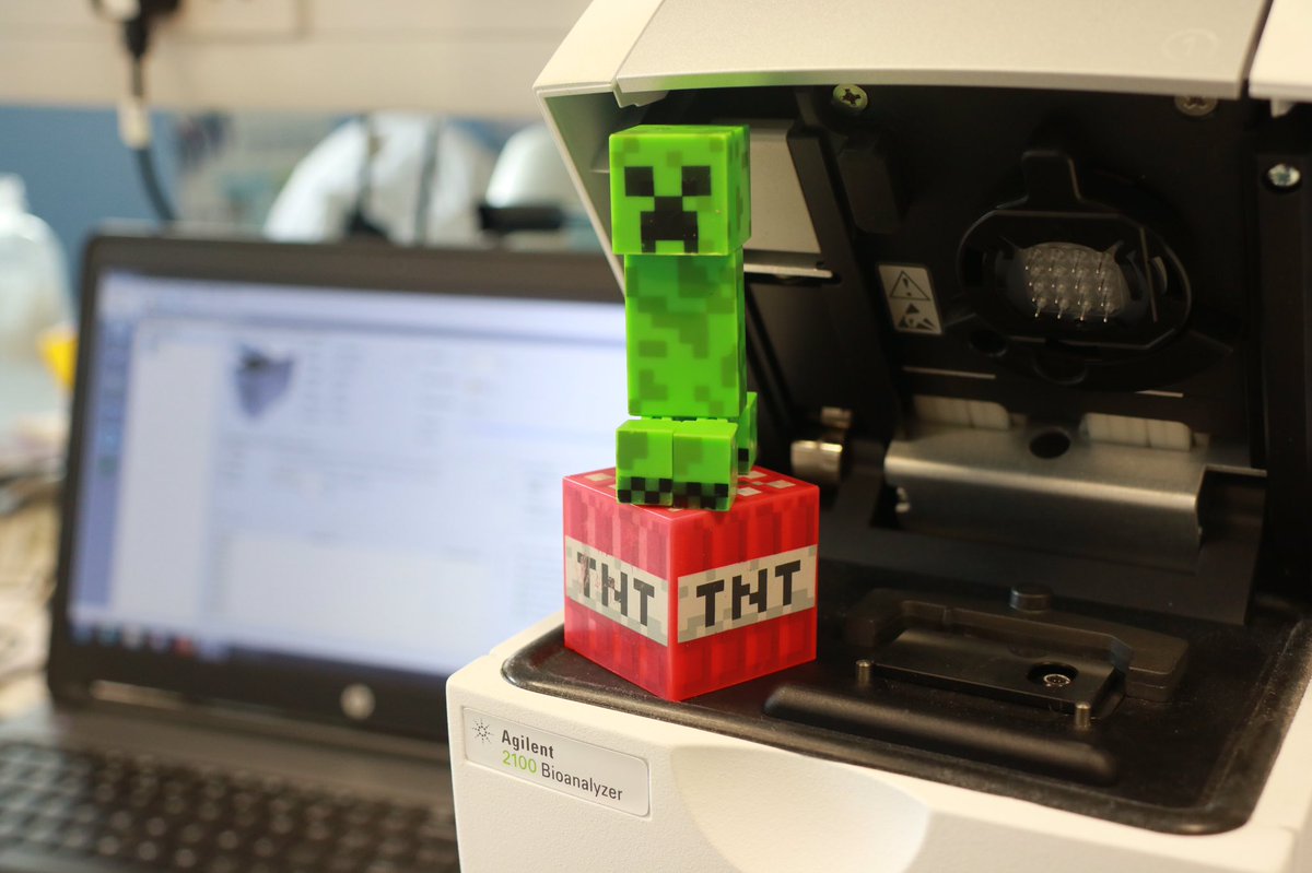 scotomorph's tweet photo. You don’t want a creeper near your fancy equipment, let alone one on a block of TNT #minecraft #bioanalyzer #agilent https://t.co/t7S11S1yOw