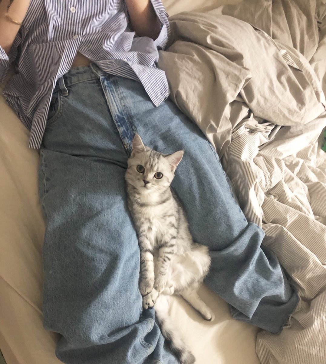 ununfah's tweet image. เมื่อคืนนอนดูทีวี ละนางก็มานอนด้วย นอนมันตรงนี้แหละ นอนดูทีวีไปสักพักนางก็หลับท่านี้เลย ตล๊กกก