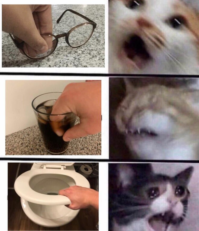 EEVBuqFU8AEjRAF?format=jpg&name=900x900