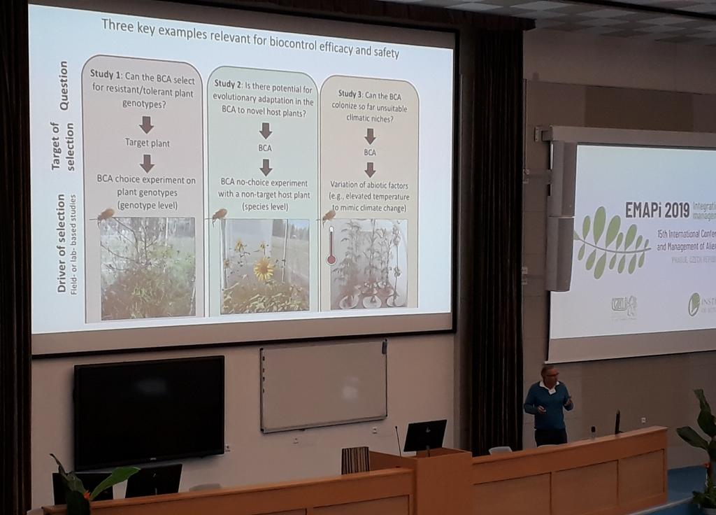 suzannelommen's tweet photo. Heinz Müller-Schärer's team bringing evolution and #invasion #ecology together in great field experiments:  a #biocontrol agent changes the  genotype frequenties of the target invasive #weed. @unifrBiology #emapi2019 https://t.co/VCqXeGYBOZ