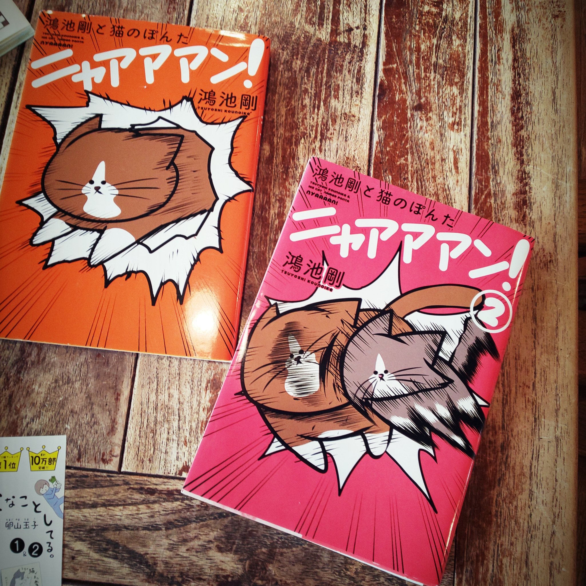 ルイジアナママ 鴻池剛と猫のぽんた ニャアアアン 第2巻入荷しましたっ ぽんたのもとに新たな子猫がやって来た さて よいお友だ ちになれるかな Kadokawaすんごい猫押しか まひるブックス ルイジアナママ 鴻池剛と猫のぽんた ニャアアアン 第2巻入荷しましたっ ぽんたのもとに新たな子猫がやって来た さて よいお友だ ちになれるかな Kadokawaすんごい猫押しか まひるブックス