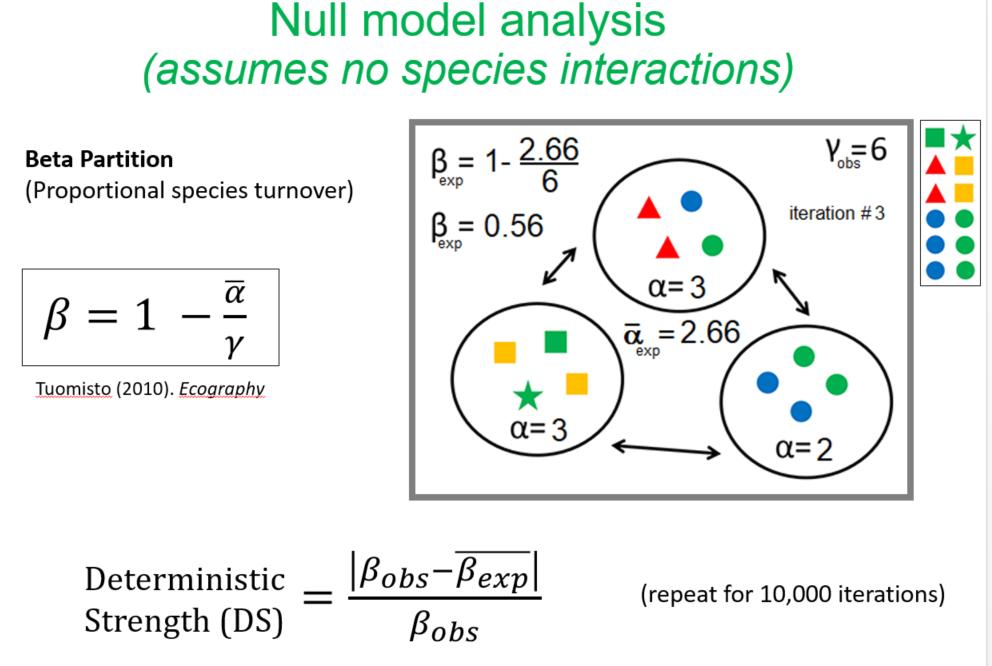 ezesantillan's tweet photo. Had a great time last week sharing about #CommunityAssembly theory as well as a step-by-step hands-on practical session on #NullModels drawing from our recent work https://t.co/psD5MQvLwu. Materials for the hands-on session are available at https://t.co/VkOckgV5FJ (1/2) https://t.co/0h5bjjnaec
