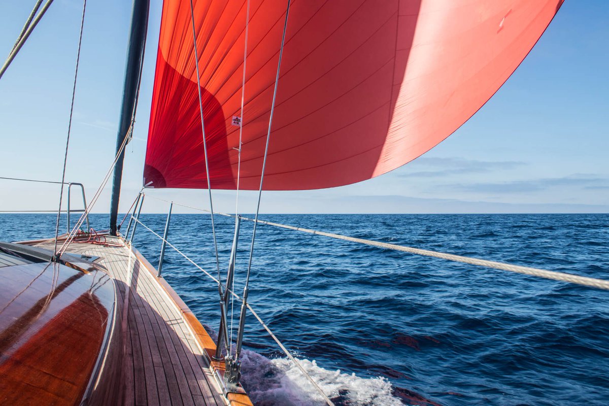 nkemarine's tweet image. Le travail sur le design de nos afficheurs #multidisplay ns a permis de réunir esthétisme et technologie à bord du Tofinou 12 du créateur de MaxSea.
Le processor regatta allie technique et précision &amp;amp; la wifi permet de communiquer ac les tablettes &amp;amp; le logiciel TimeZero.
📸MaxSea