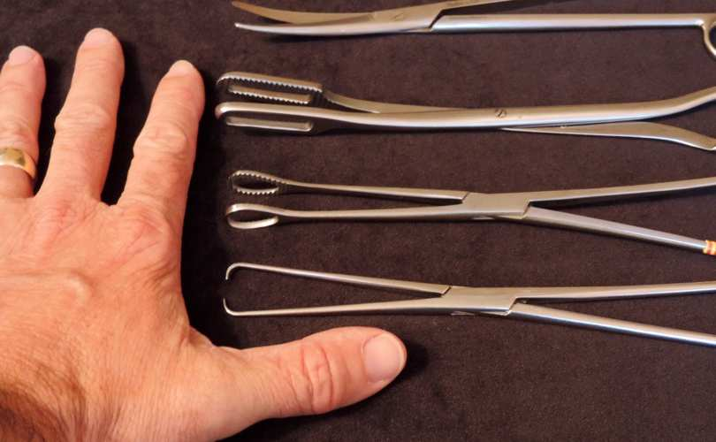 PattiPanNatural's tweet photo. @AOC You mean like these ones that are used to kill human beings en masse daily? https://t.co/Q0OA60jpDV