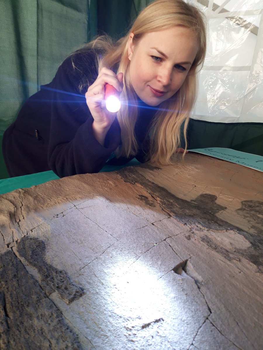 morethanadodo's tweet photo. Setting up for schools day #YorksFossilFest join museum scientists on an Ediacaran Odyssey at the Dawn of Animal Life(?). #FossilFriday #FirstAnimals #MuseumPromo The Museum will be at the Rotunda Museum all weekend. https://t.co/n6FU5MROmL