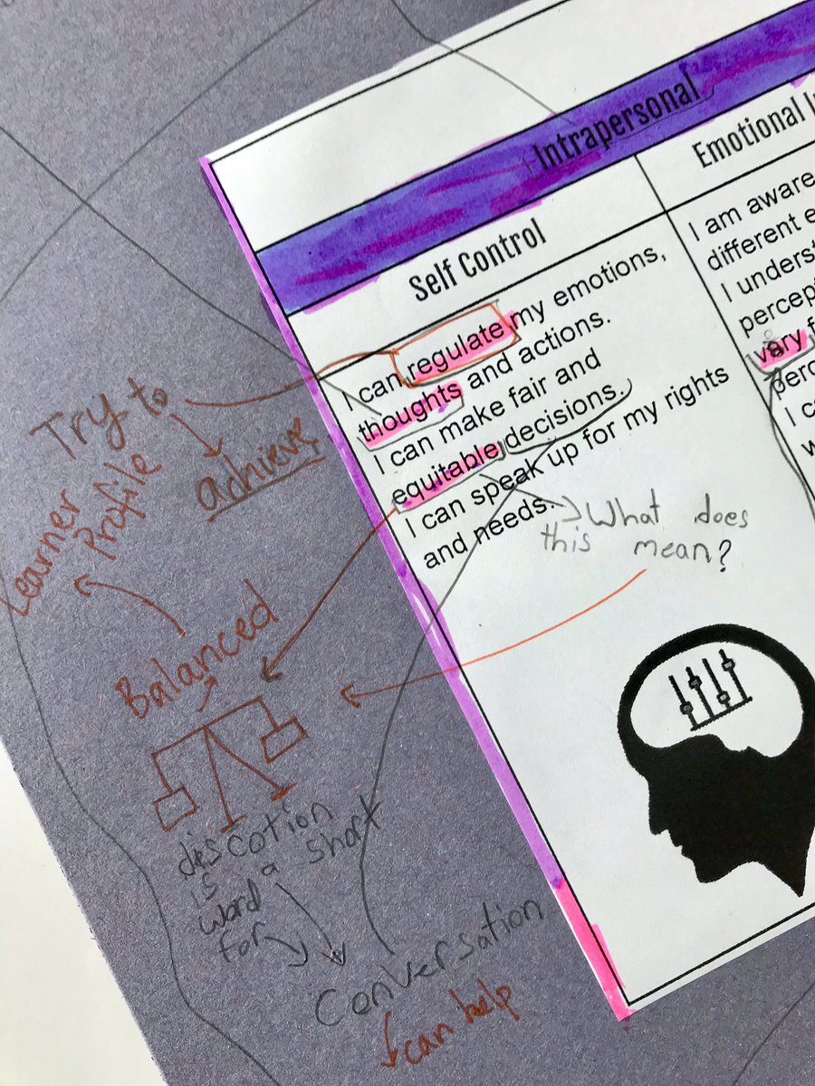 Amelia O'Brien tweet media