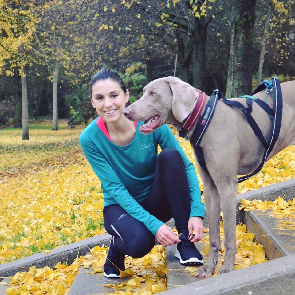 BeteDeCourse's tweet image. Avec toutes les conneries que je lis ces derniers jours sur les réseaux sociaux à propos du #canicross, je ne pouvais pas rester dans mon coin les bras croisés... 😬Il était... instagram.com/p/B2WBiOGoDSv/