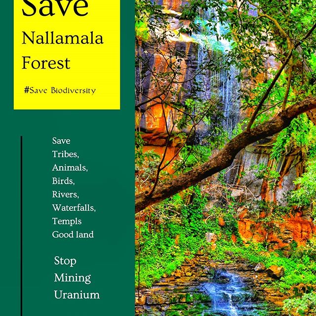 Maheshnagram151's tweet photo. @ramsayz #savenallamalaforest  #savepalnet https://t.co/9NuLhWVTm8
