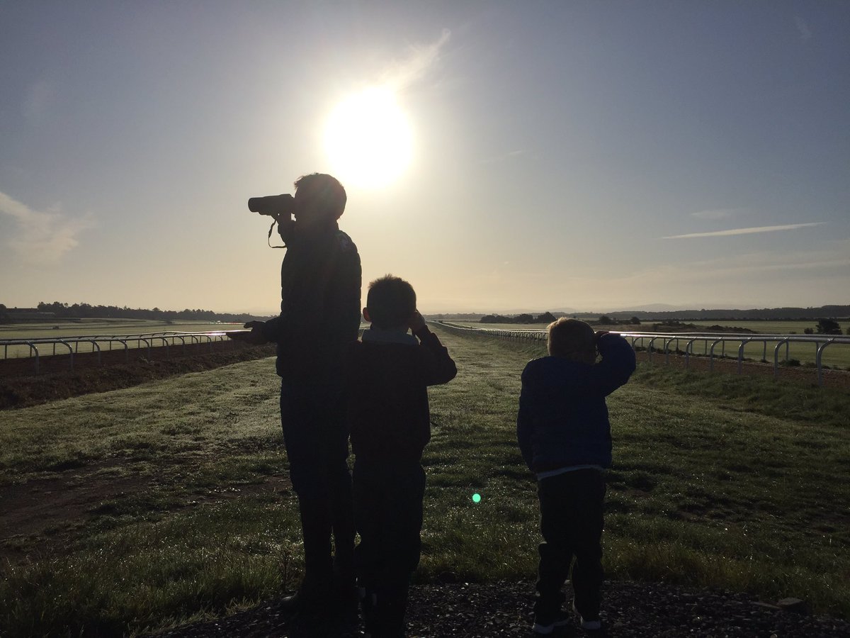 Aislingkinane's tweet photo. Early morning rise for the two boys to watch work at @JohnnyMurtagh @orla_murtagh @castlefarmstud #whatdirection https://t.co/DE5amnkyCf