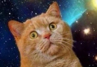 宇宙猫のtwitterイラスト検索結果 古い順 宇宙猫のtwitterイラスト検索結果 古い順