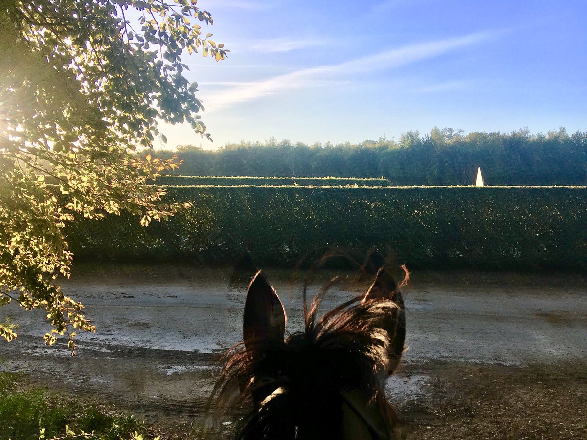 JohnWathenBerry's tweet photo. Another beautiful warm, sunny morning @NewmarketGallop. Currently 13 degrees; forecast high 20. Off to @salisburyraces shortly. #DasKapital #Delatite https://t.co/1Db4qcwi27