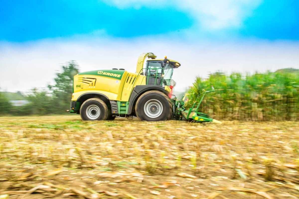 KroneFrance's tweet photo. 🚨 Nos ensileuses #BiGX de démonstration avalent les hectares grâce à la nouvelle tête de récolte #XCollect ⚔️ et pulvérisent le grain intensément grâce au nouvel éclateur #OptiMaxx ⚙️🌽 🔝 👉Retrouvez-nous sur les routes de France avec notre #RéseauKRONE 😁 #Krone #IamKRONE https://t.co/frVreadvJg