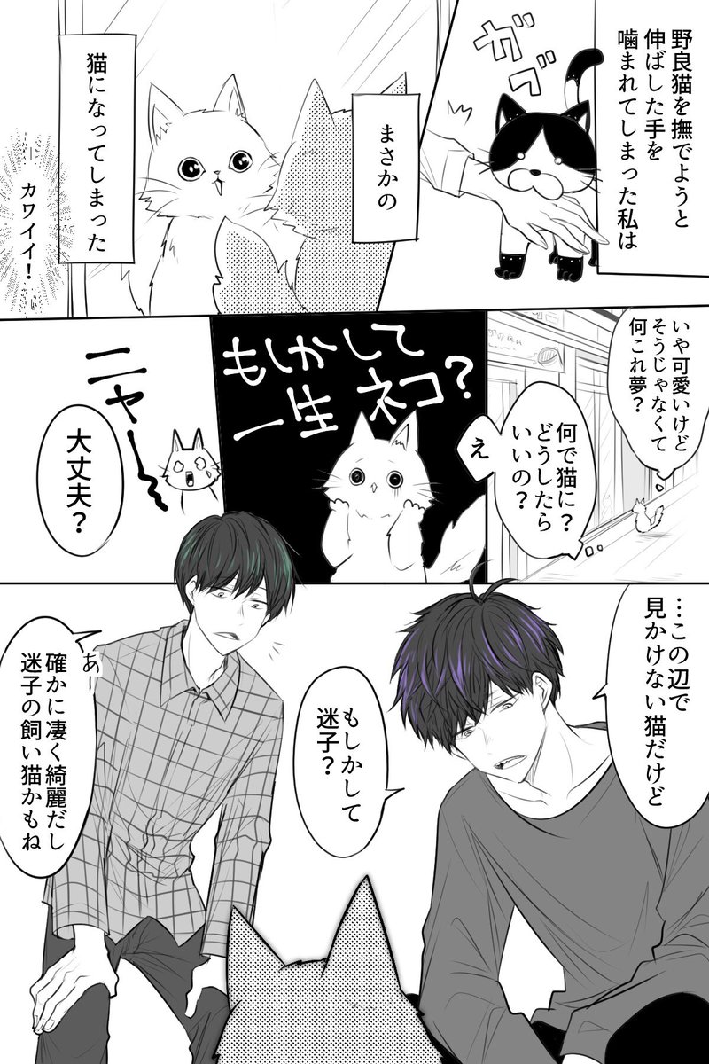 年中松 さんかく