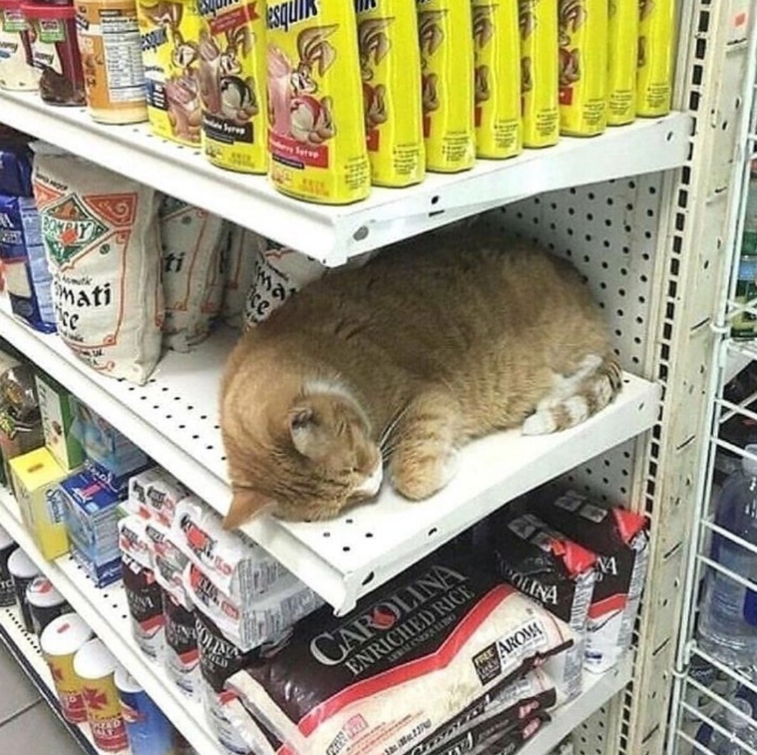 ulat_bulu_bulu's tweet photo. Kerajaan harus pantau peniaga yang tidak pamer tanda harga. Nak scan pun takde barcode. https://t.co/KKP0ZXKkOW