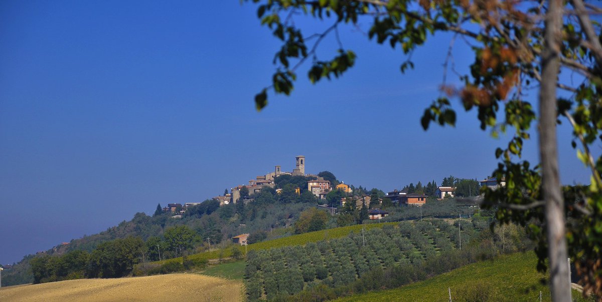 UmbriaTourism's tweet photo. In paese la vita scorre lenta. Per un weekend di relax scegliete #Collazzone: un accogliente centro storico, tra vicoli simmetrici, mura, terrapieni e torrioni immersi nel caratteristico paesaggio collinare umbro
https://t.co/8ovsPXWwcw
#umbriacuoreverde #umbriaculture https://t.co/CvRrxKOygL