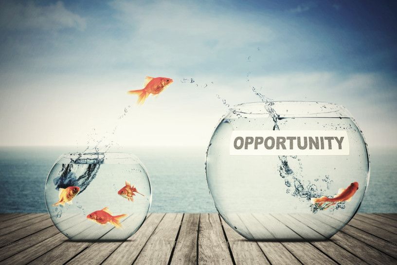 ProgressiveLC's tweet photo. How is Pharma Franchise Opportunity in India? - https://t.co/v65On9RQe8

Looking for #Pharma #Franchise in India? Here you know how pharma franchise opportunity in India. Progressive Life Care offering #PCD franchise across India. https://t.co/vJ1ScbMBbt