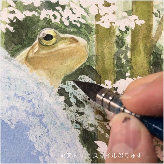 カエル 高画質 のtwitterイラスト検索結果