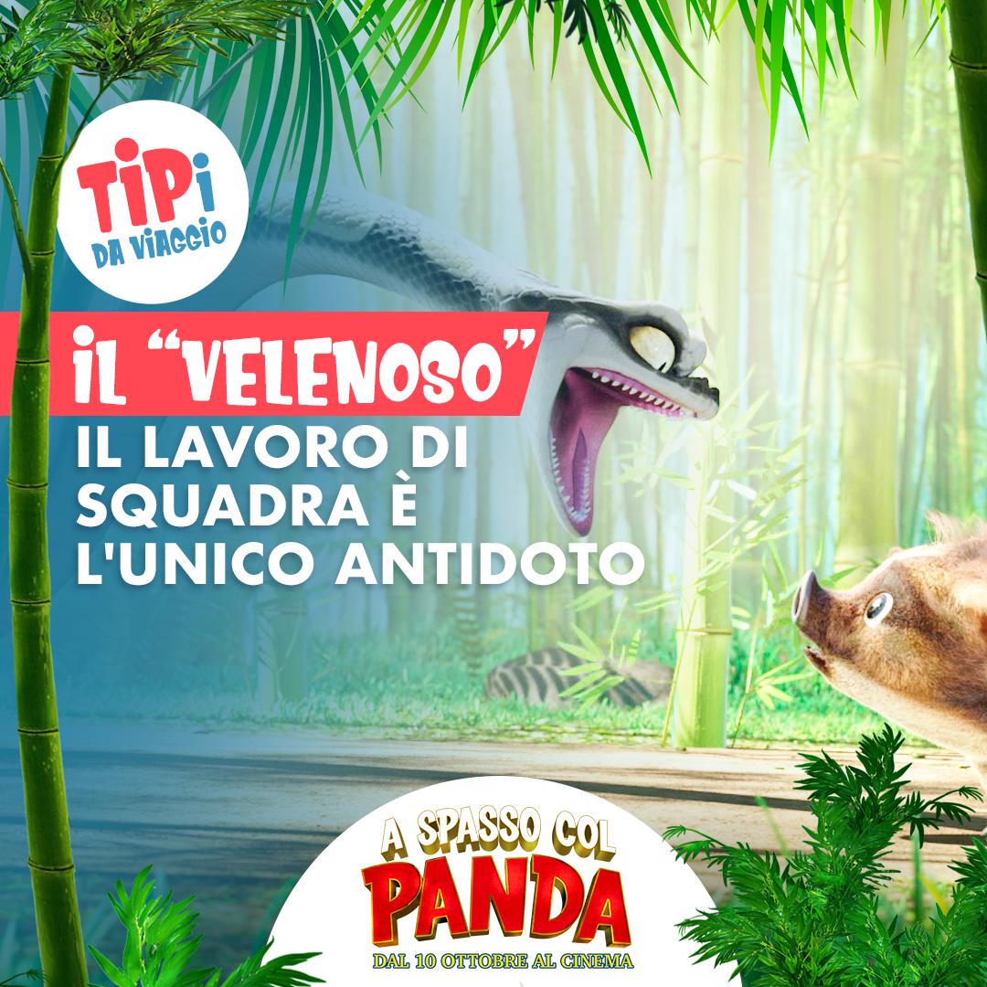 Sssstate lontani o vi ritroverete tra i ssssuoi denti... 
#ASpassocolPanda è al cinema dal 10 ottobre.