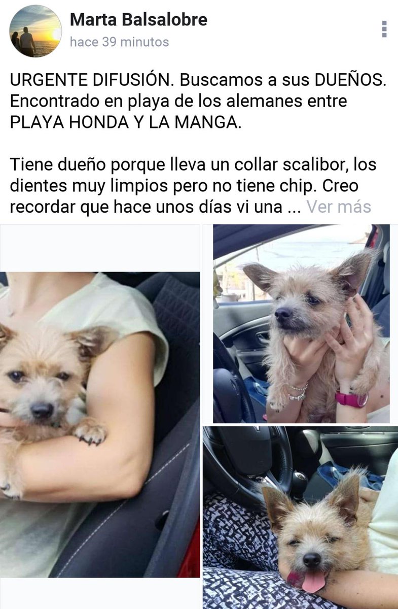 Black_murcia's tweet photo. A ver si alguien de la zona puede ayudar a esta familia https://t.co/GyJxsmiv69