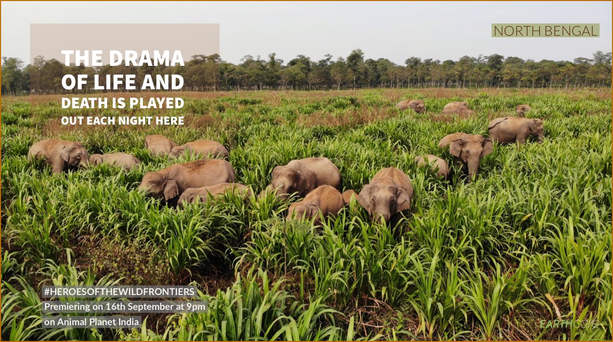 Krishnendu Bose tweet media