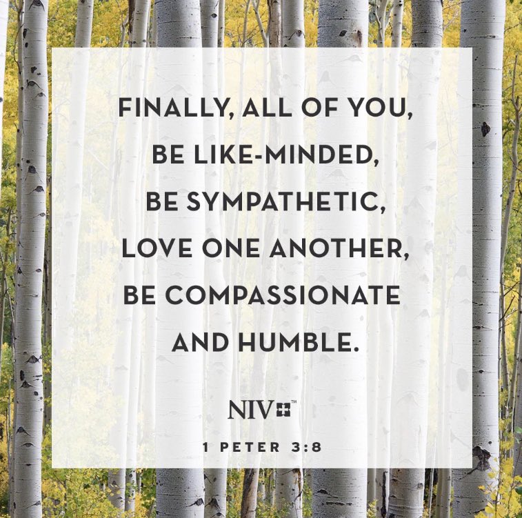 HndsNFeet's tweet image. #DailyFire!!🔥🔥 #dailybibleverse

#WhatAreWeDoing

#LoveIsJesus