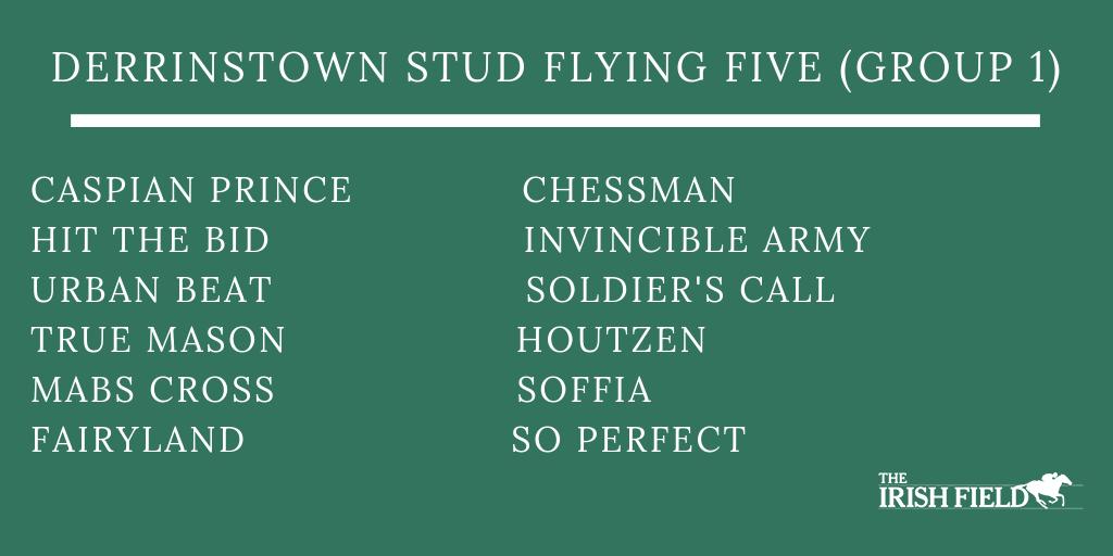 TheIrishField's tweet photo. Half the field for the @Derrinstown Flying Five at the @curraghrace on Sunday are British-trained. Previews of all Irish Champions Weekend races in The Irish Field tomorrow. https://t.co/VzWcoM4nTQ