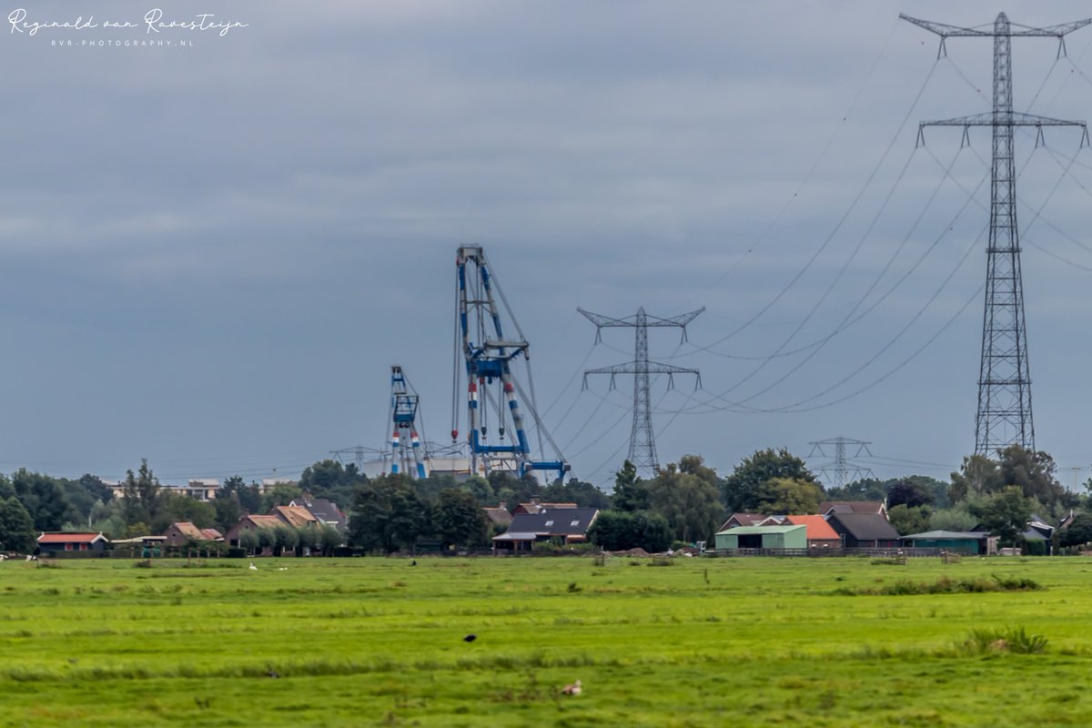 🄷🄰🅅🄴🄽🄵🄾🅃🄾🅂.🄽🄻 tweet media