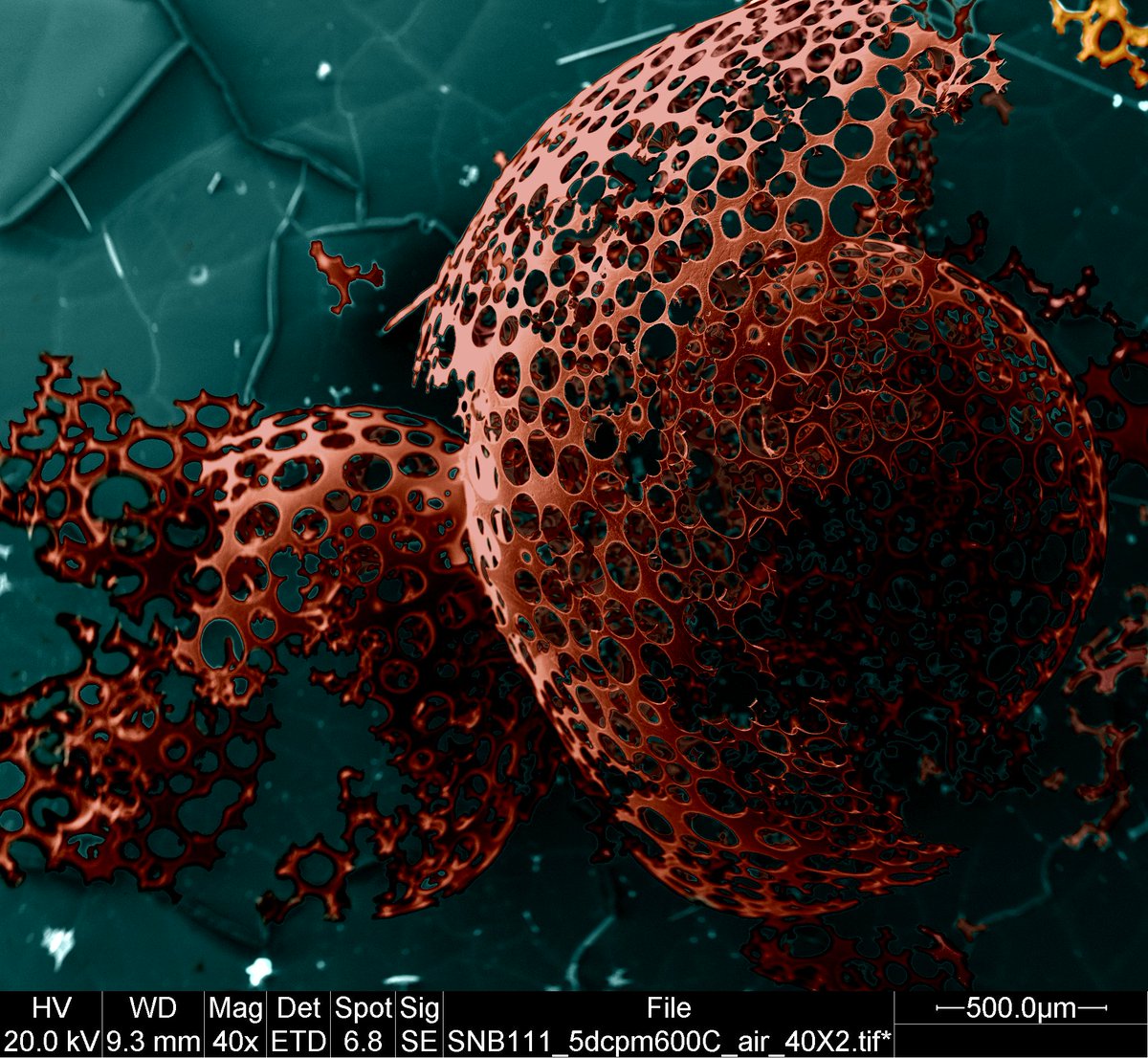 RAMS2019@UoL tweet media