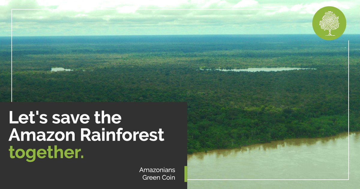 AmazoniansGC's tweet photo. The goal of #AMACOIN is to raise💰 in order to acquire more land, to increase the reserve and help in the preservation of the rainforest.
The preservation of biodiversity🐒🐠the sustainable development of the communities👨‍👩‍👧and the reduction of CO2 emissions💨are what matters to us https://t.co/A5wqrmpOHk